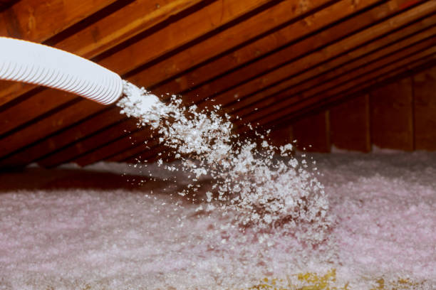 Best Crawl Space Insulation  in Wesley Chapel, NC