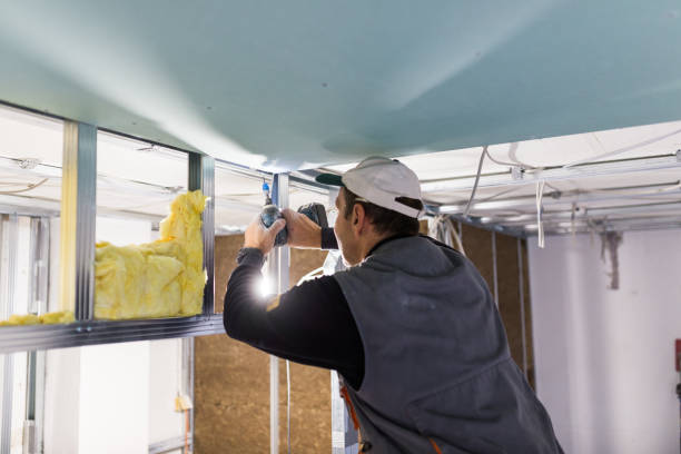 Best Insulation Removal  in Wesley Chapel, NC