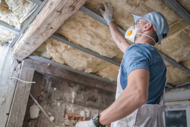 Best Residential Insulation Services  in Wesley Chapel, NC