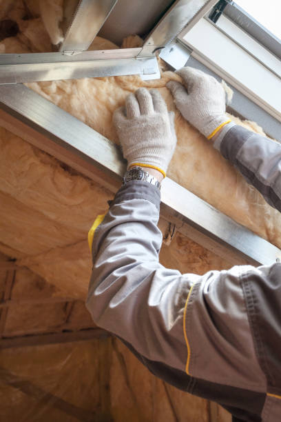 Best Soundproof Insulation Installation  in Wesley Chapel, NC