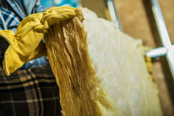 Best Spray Foam Insulation  in Wesley Chapel, NC