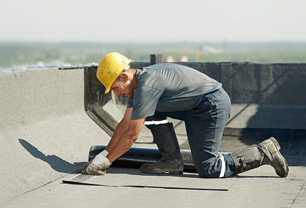 Best Spray Foam Insulation  in Wesley Chapel, NC