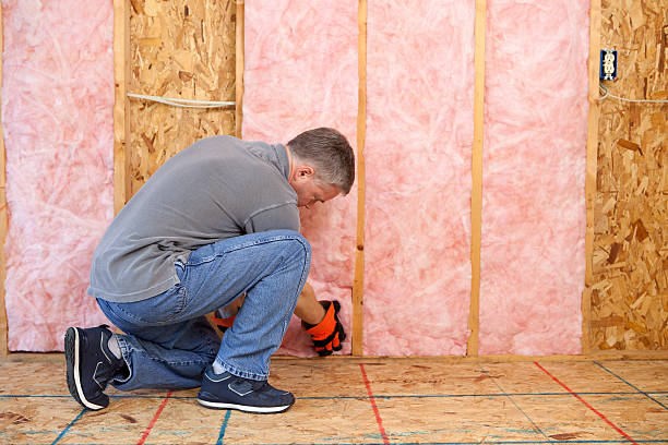 Best Insulation Contractor Near Me  in Wesley Chapel, NC