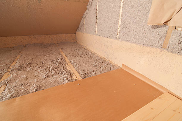 Best Professional Insulation Contractor  in Wesley Chapel, NC