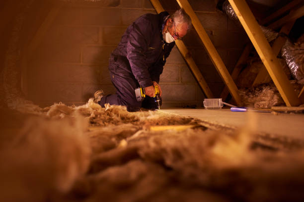 Best Attic Insulation Installation  in Wesley Chapel, NC